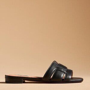 Elegant Black Women's Sandals